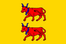 Drapeau Béarn-Expert Drapeaux