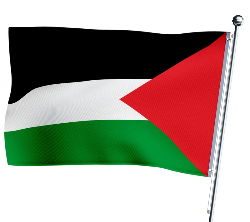 Drapeau Palestine-Expert Drapeaux