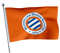 MHSC-Flagge