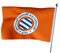 MHSC-Flagge