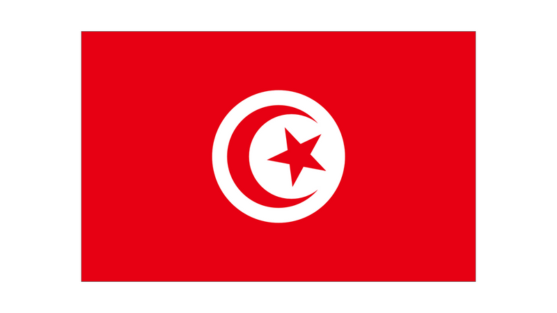 Drapeau Tunisie-Expert Drapeaux