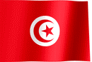 Drapeau Tunisie-Expert Drapeaux