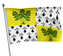 Fougères-Flagge